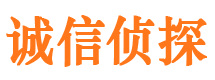 孟连市调查公司